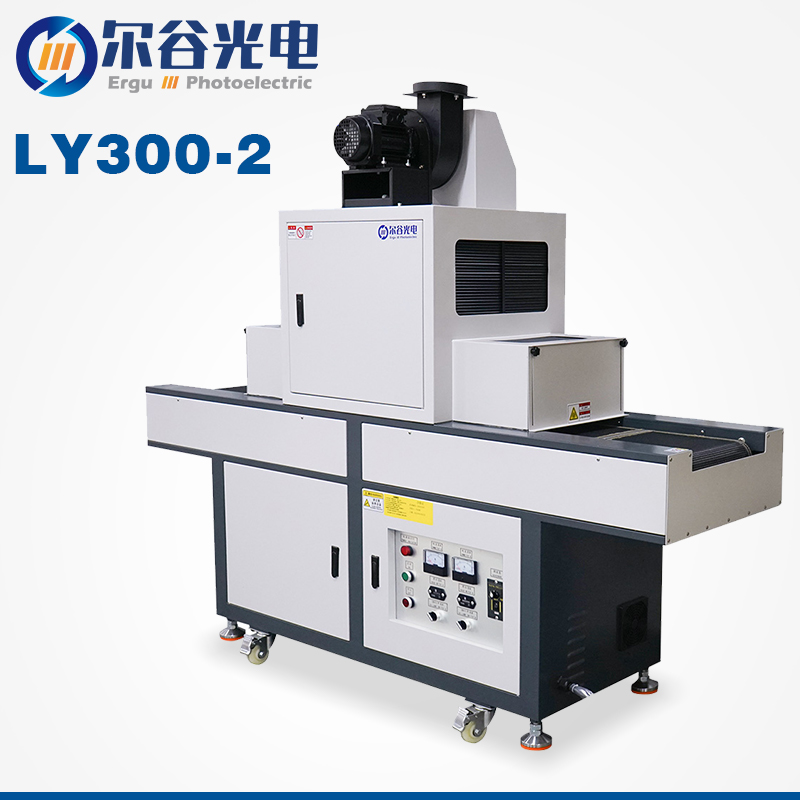 LY300-2固化機(jī)